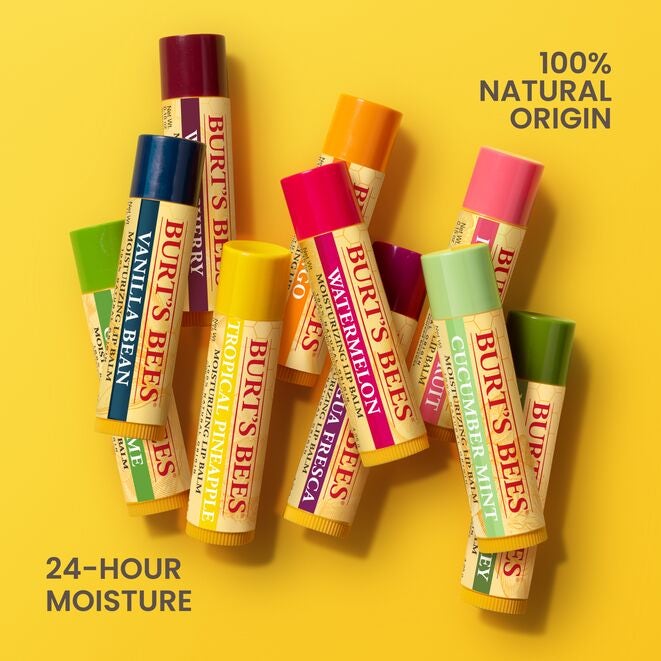 Best of Burt's Lip Balm 4-Pack